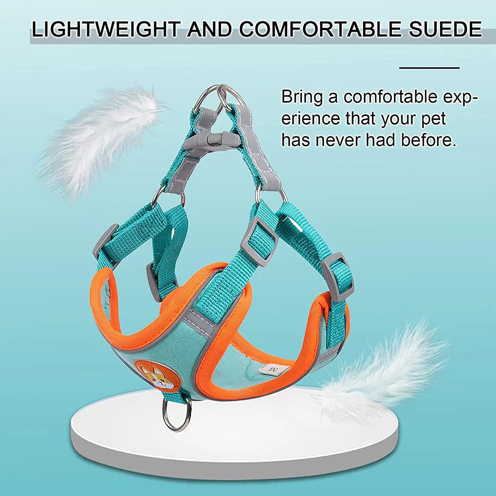 Reflective Step In Harness