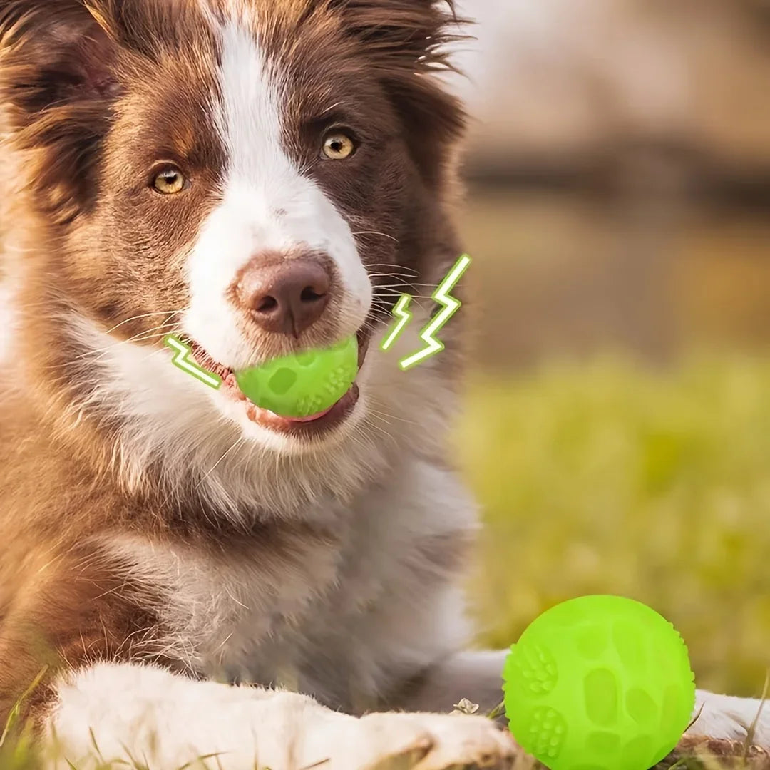 Glow Squeaky Chew Ball