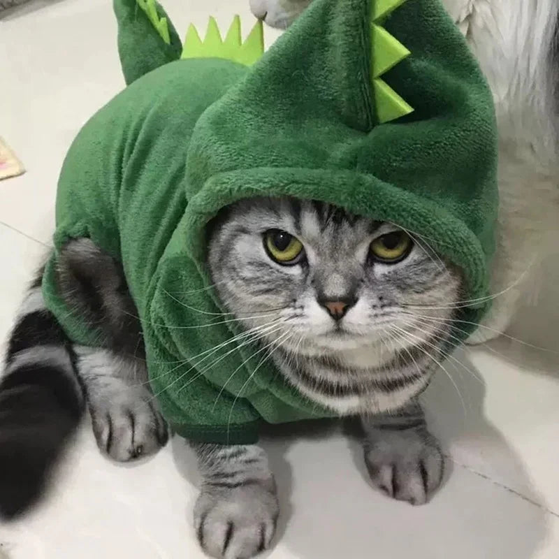 Dinosaur Fleece Pet Hoodie