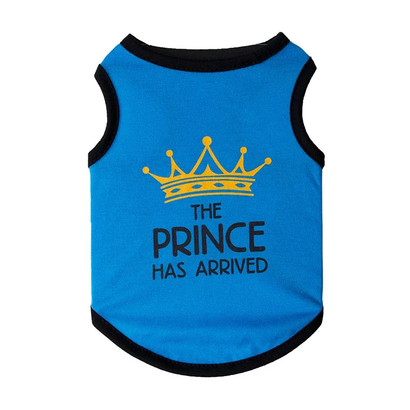 Mesh Sphynx Summer Vest