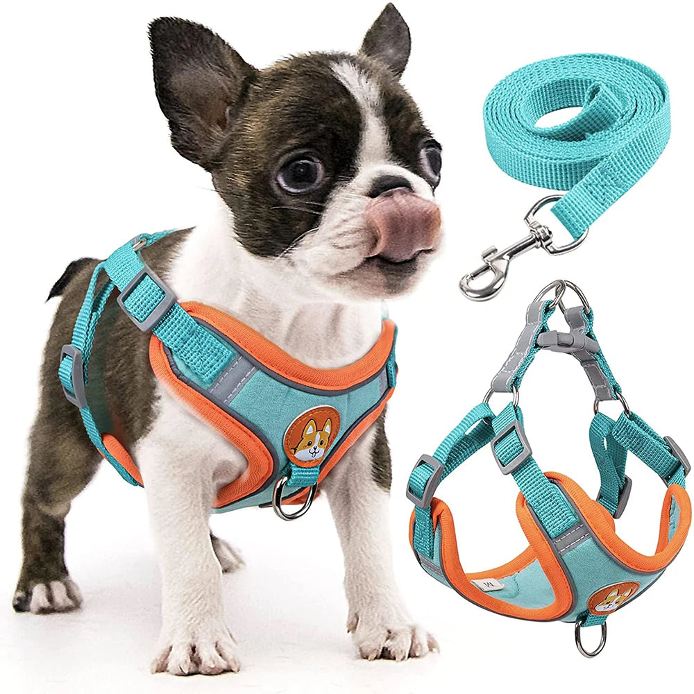 Reflective Step In Harness