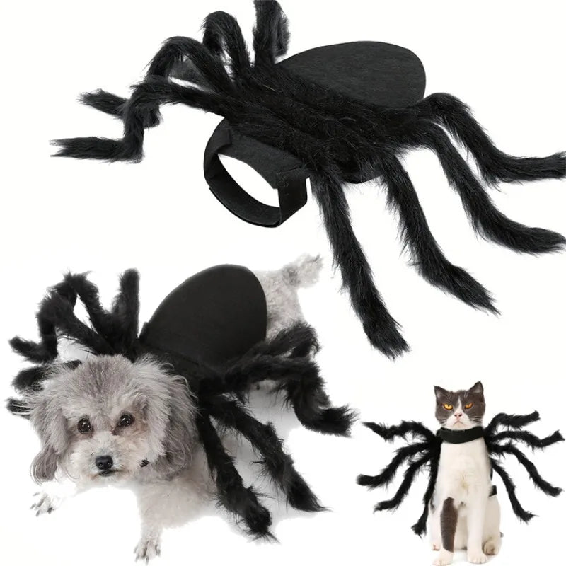 Spider Halloween Pet Costume