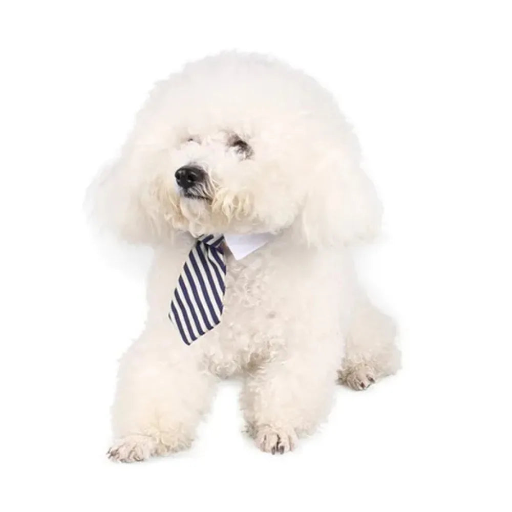 Adjustable Pet Bow Tie