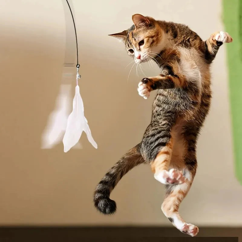Suction Feather Cat Teaser