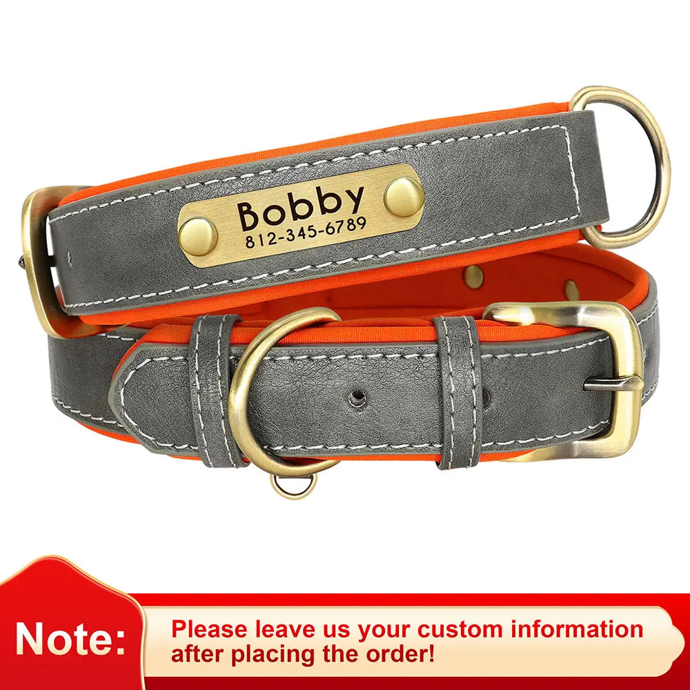 Personalized Padded Leather Dog Collar