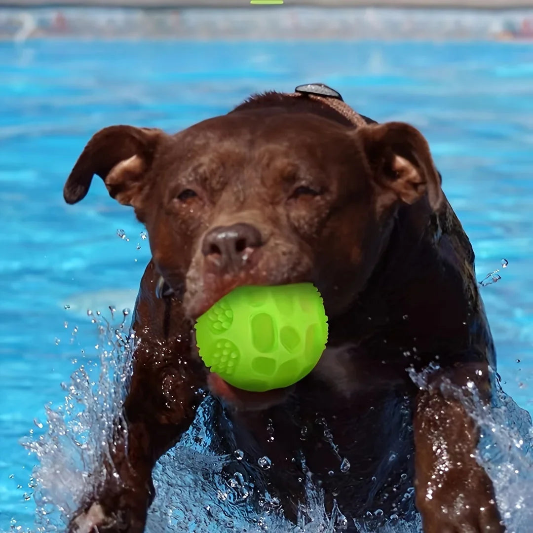 Glow Squeaky Chew Ball