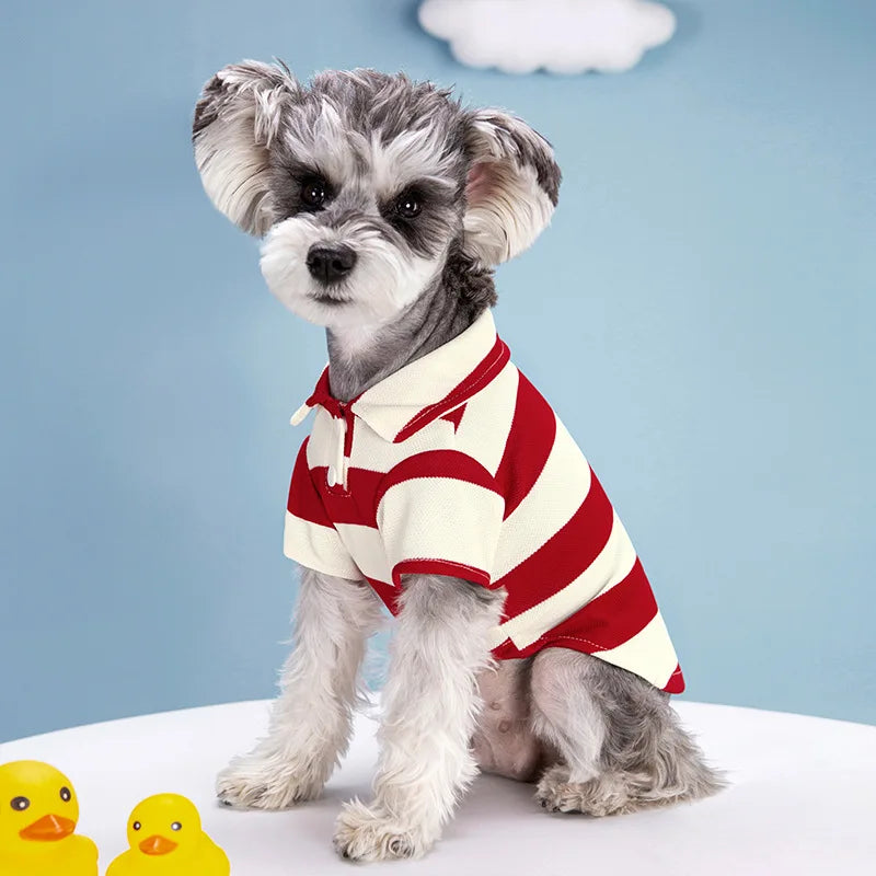 Striped Summer Dog Polo