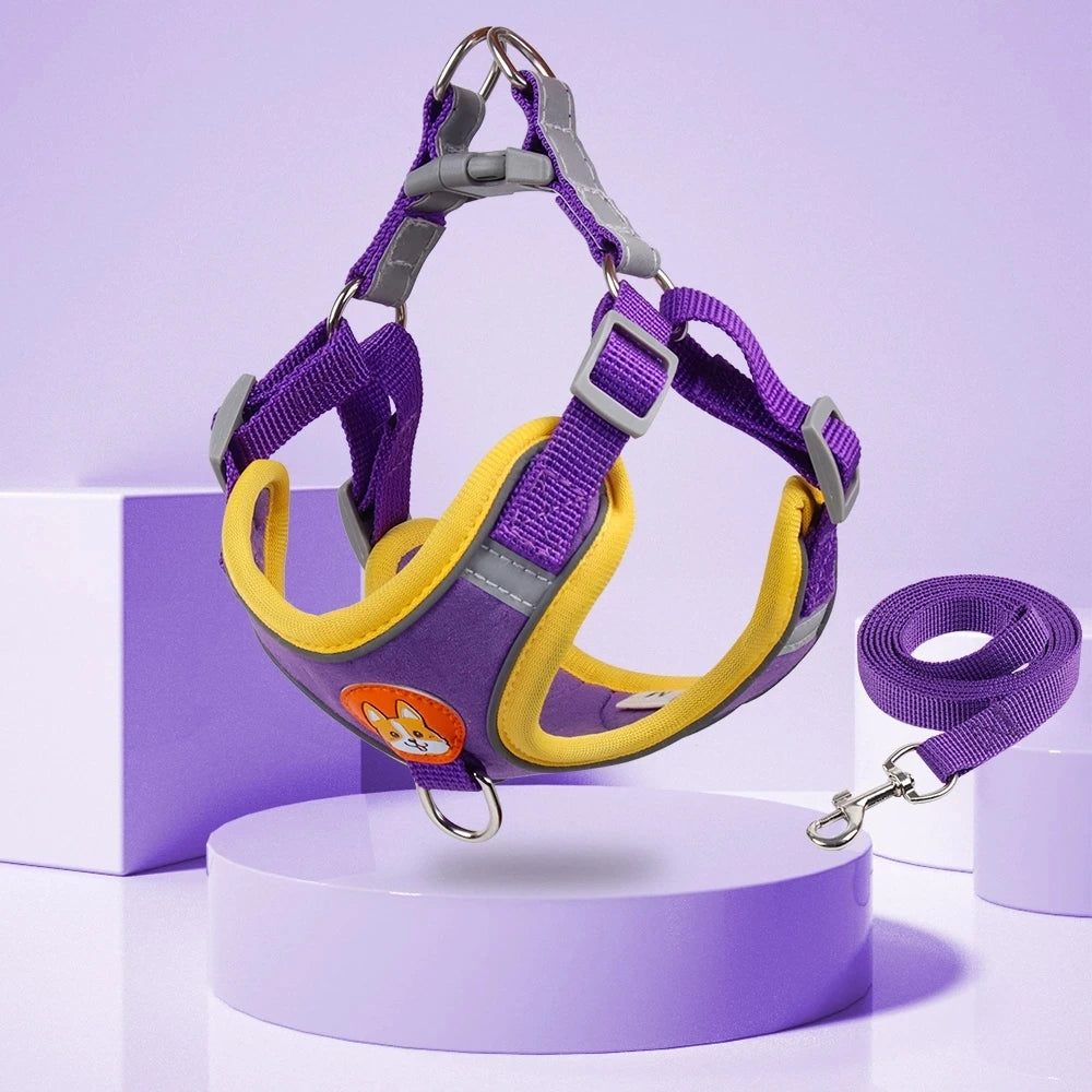 Reflective Step In Harness