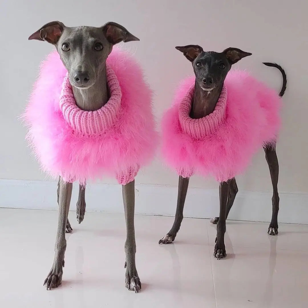 Warm Fashion Dog Sweater
