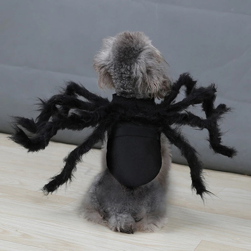 Spider Halloween Pet Costume