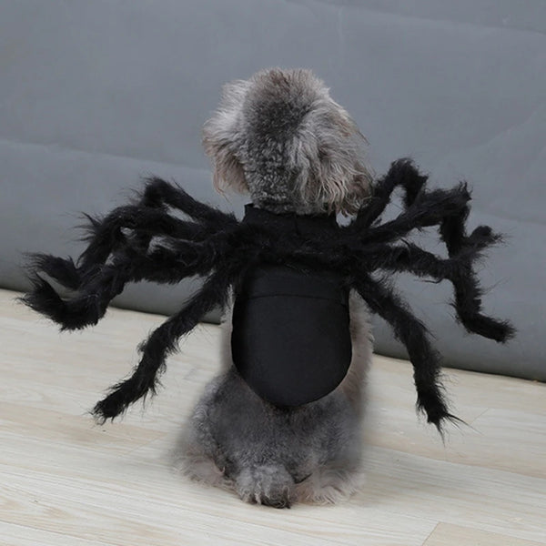 Spider Halloween Pet Costume