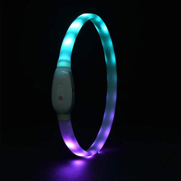 USB Rechargeable LED Dog Collar