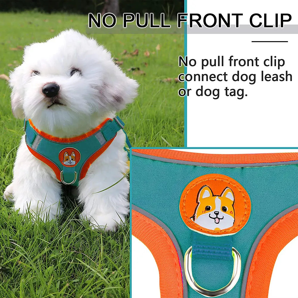 Reflective Step In Harness