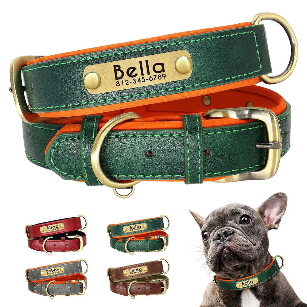 Personalized Padded Leather Dog Collar