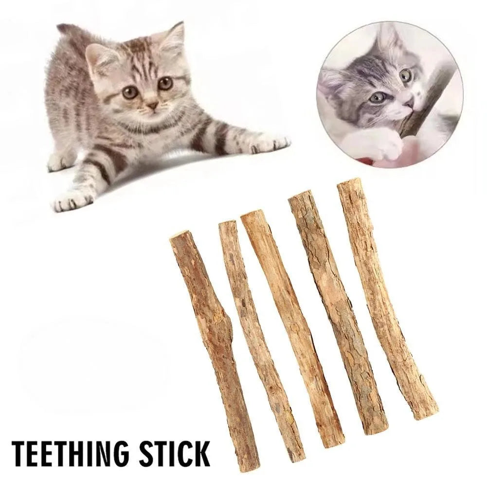 Natural Wood Catnip Chew Sticks
