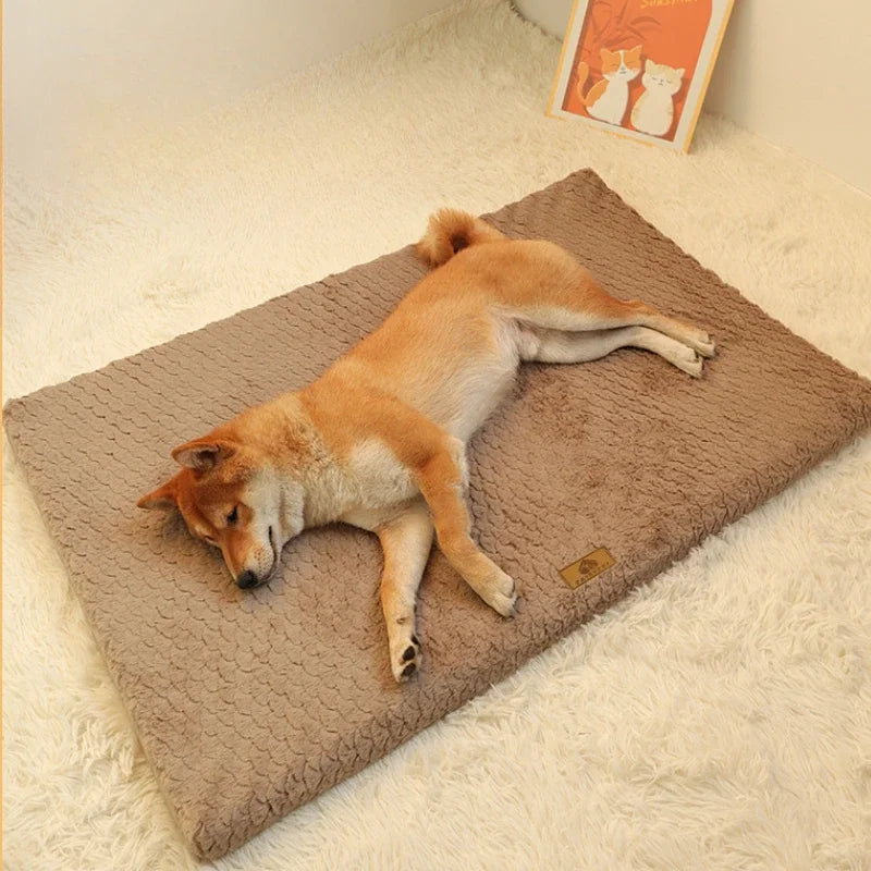 Orthopedic Washable Memory Bed