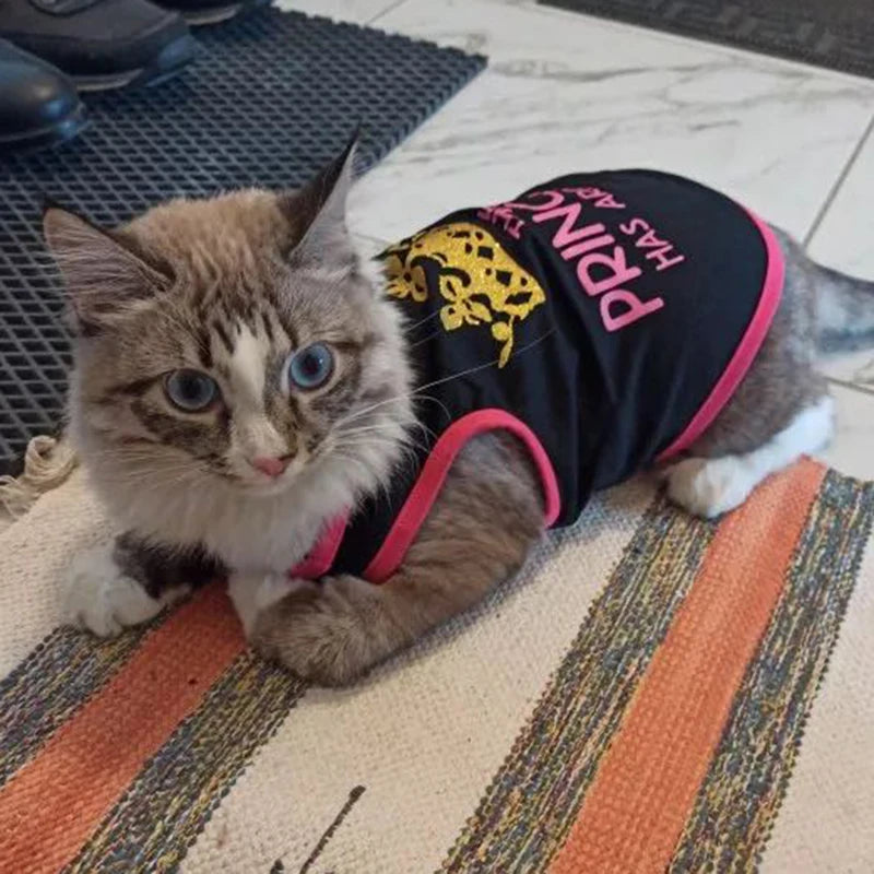 Mesh Sphynx Summer Vest