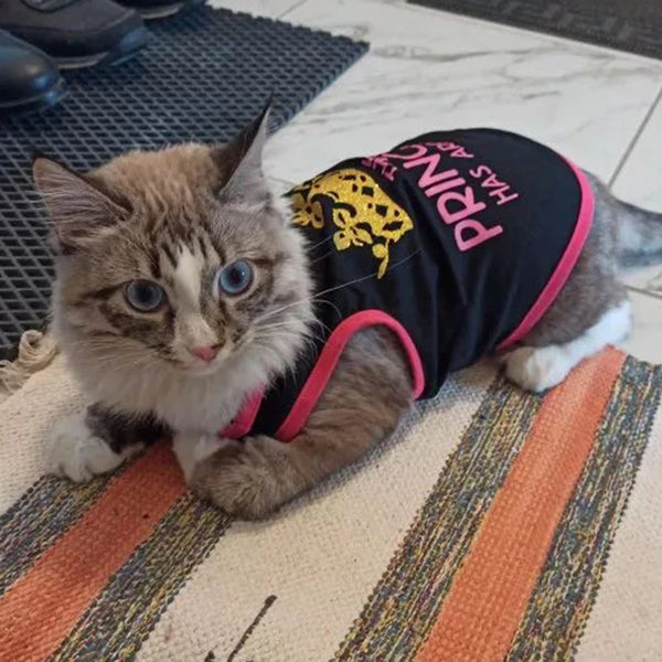 Mesh Sphynx Summer Vest