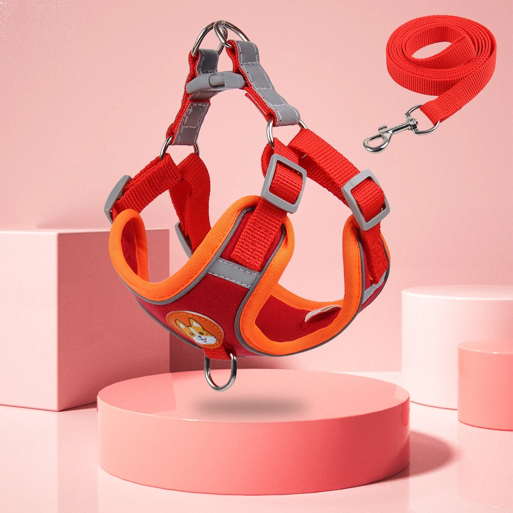 Reflective Step In Harness