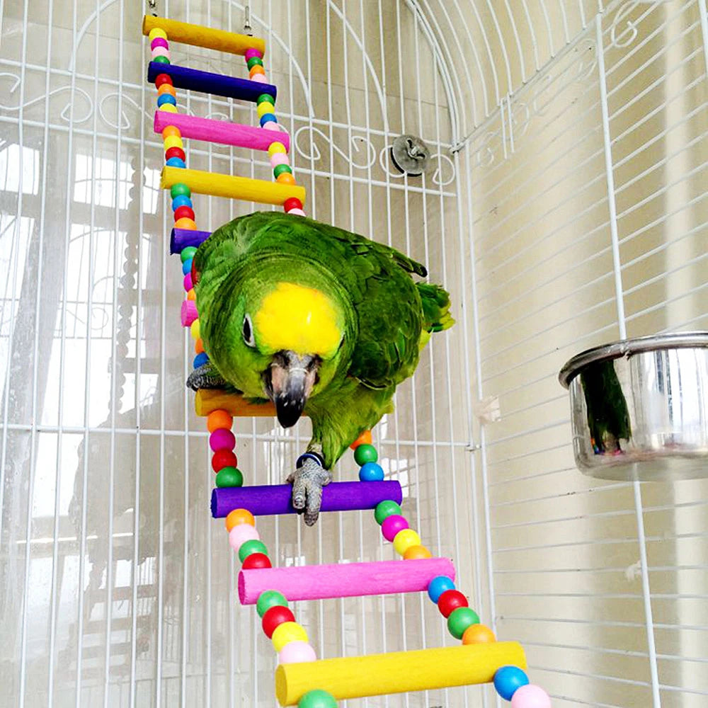Colorful 12-Step Bird Ladder