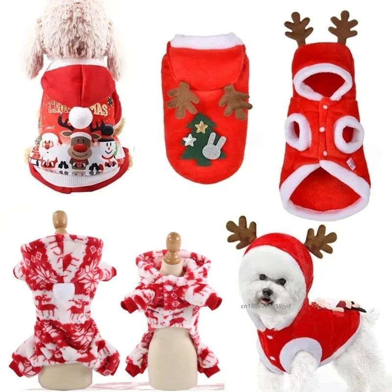 Santa Holiday Pet Costume