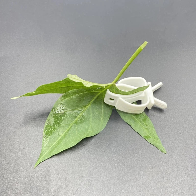 Parrot Fruit Feeding Clip