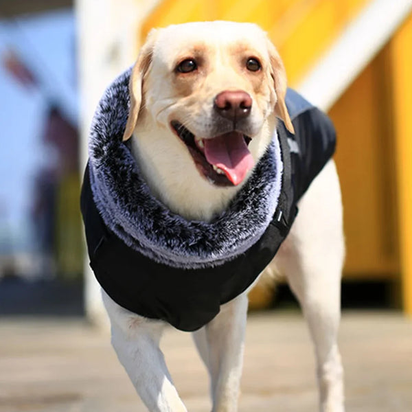 Fur Collar Winter Coat