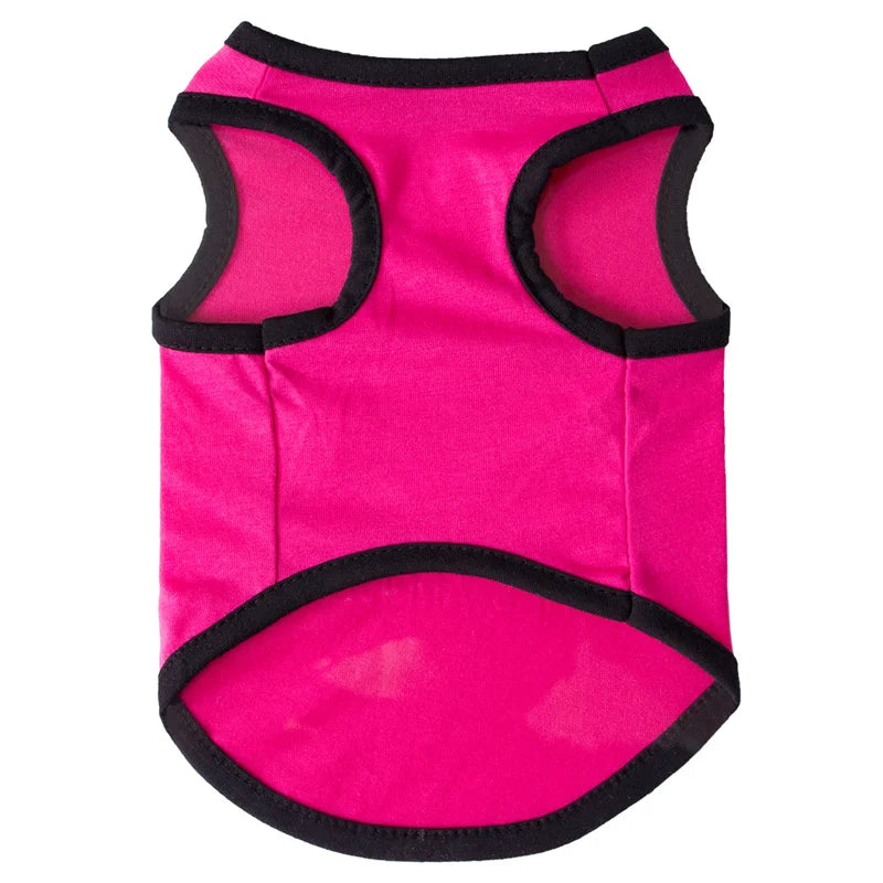 Mesh Sphynx Summer Vest