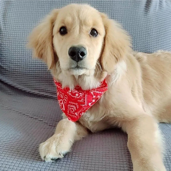 Adjustable Bandana Dog Collar