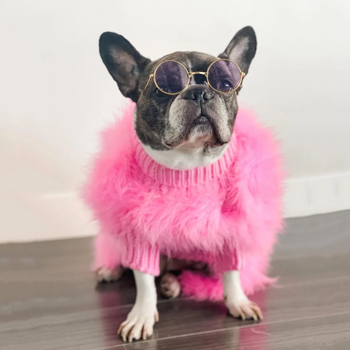 Warm Fashion Dog Sweater