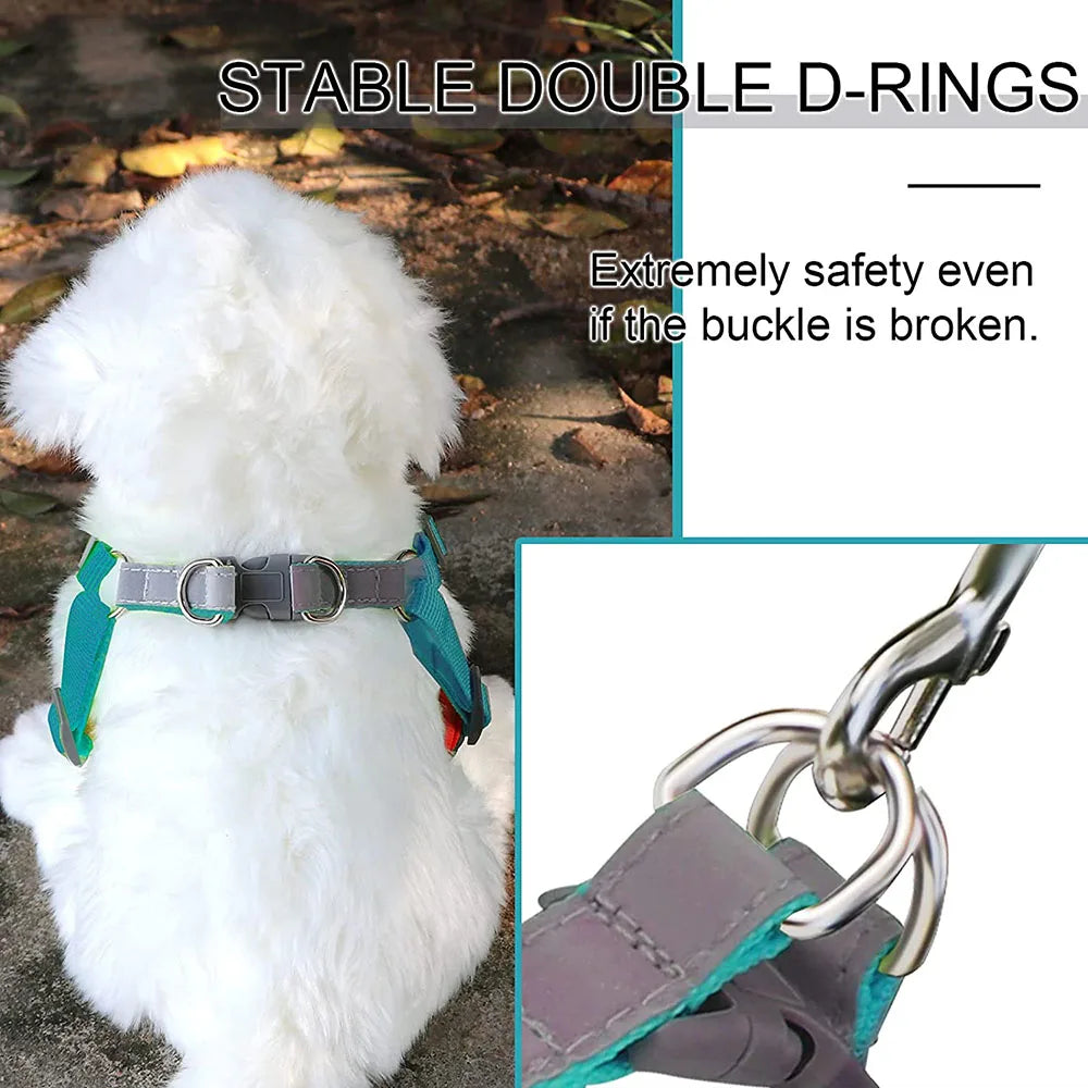 Reflective Step In Harness