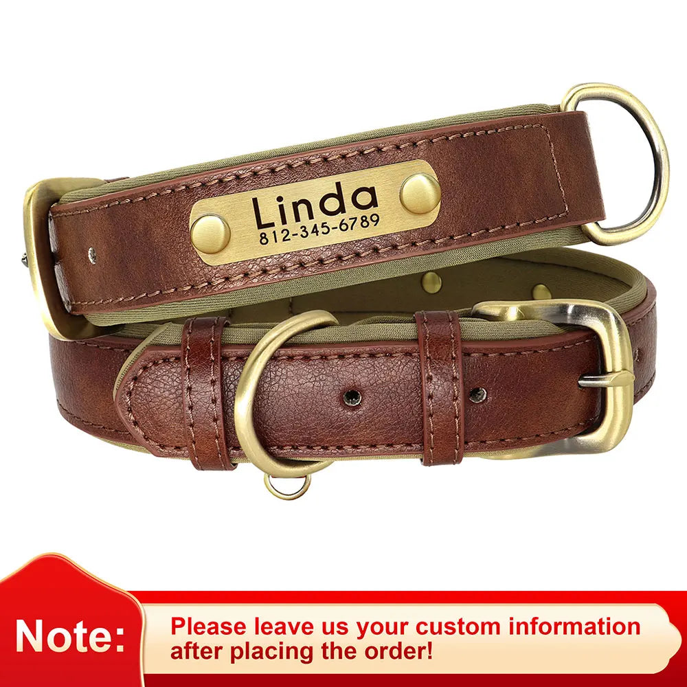 Personalized Padded Leather Dog Collar