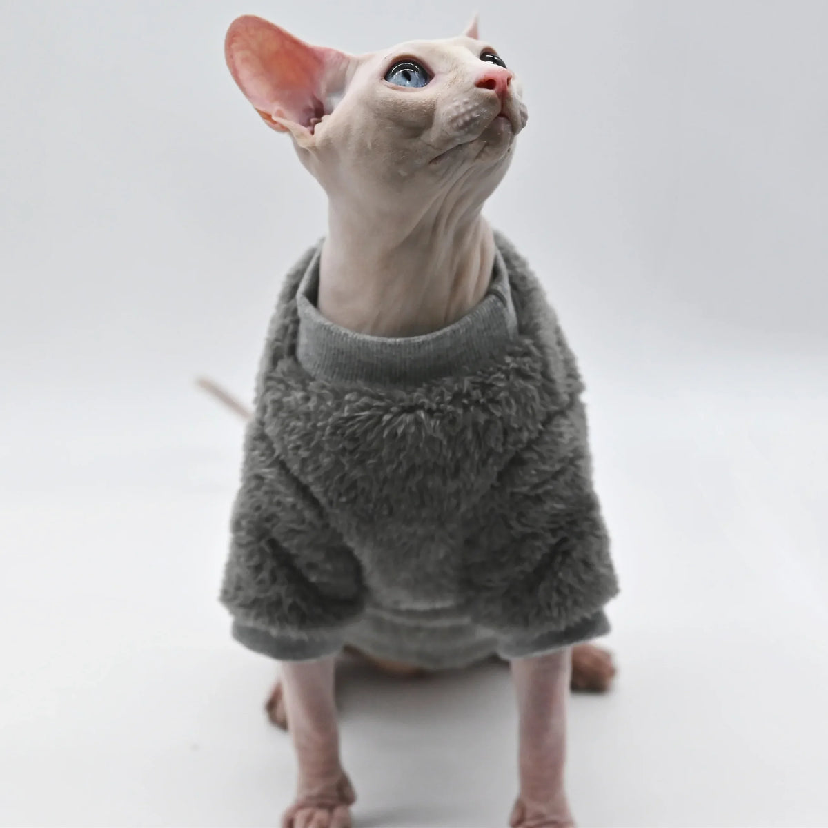 Fluffy Sphynx Winter Jacket