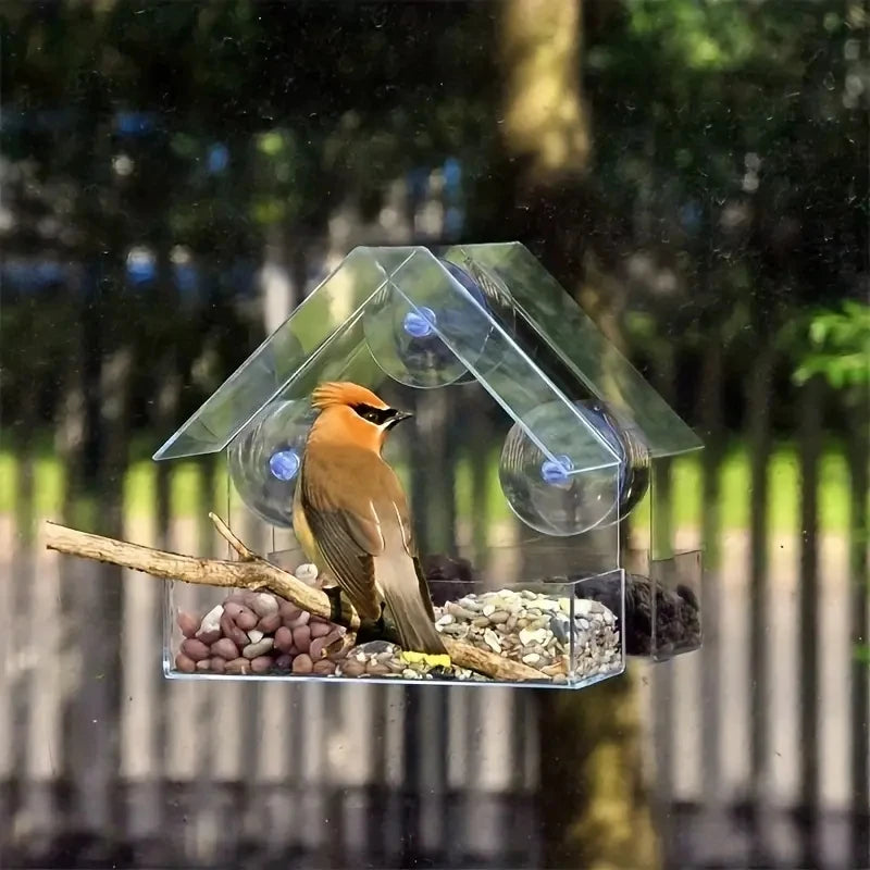 Acrylic Suction Window Bird Feeder