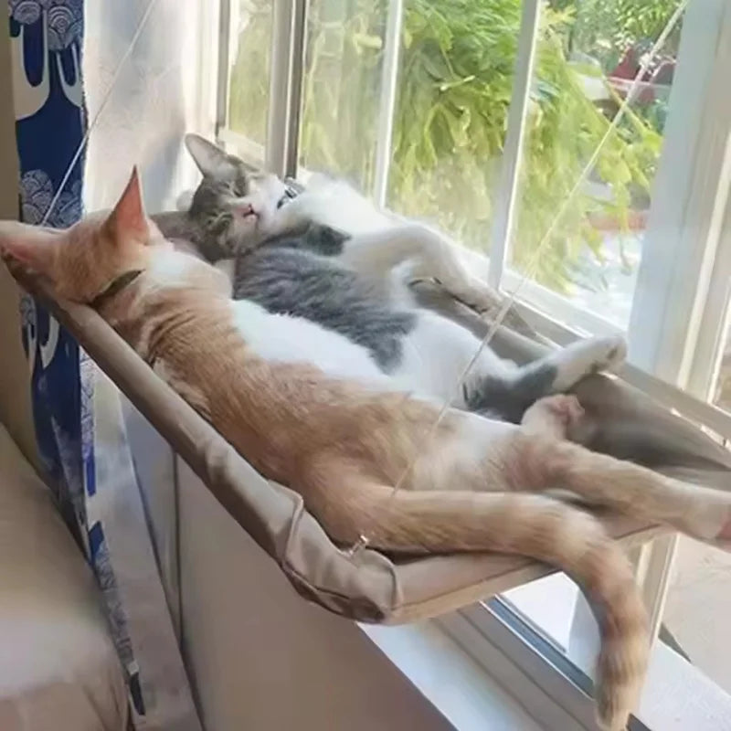Window Suction Cat Hammock
