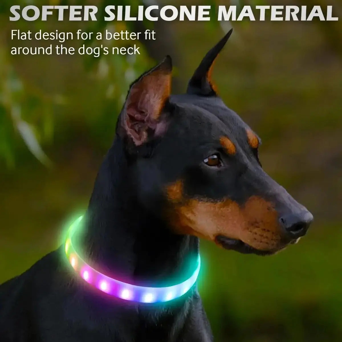 USB Rechargeable LED Dog Collar