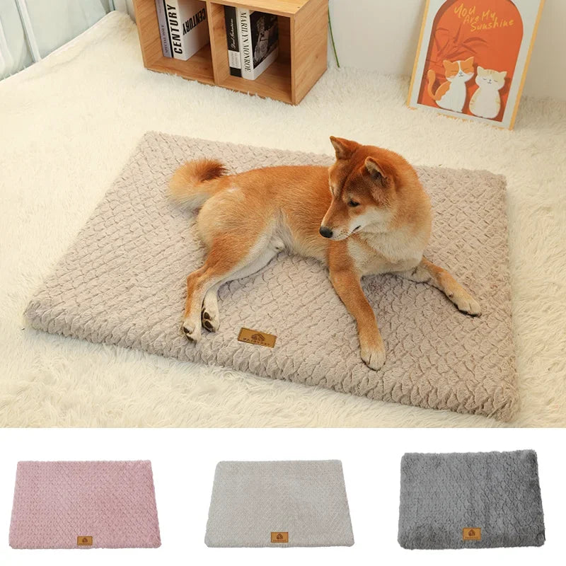 Orthopedic Washable Memory Bed