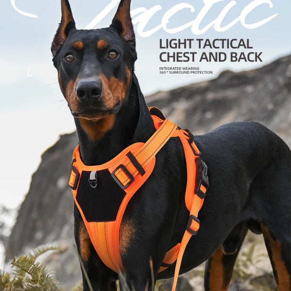Reflective No Pull Harness