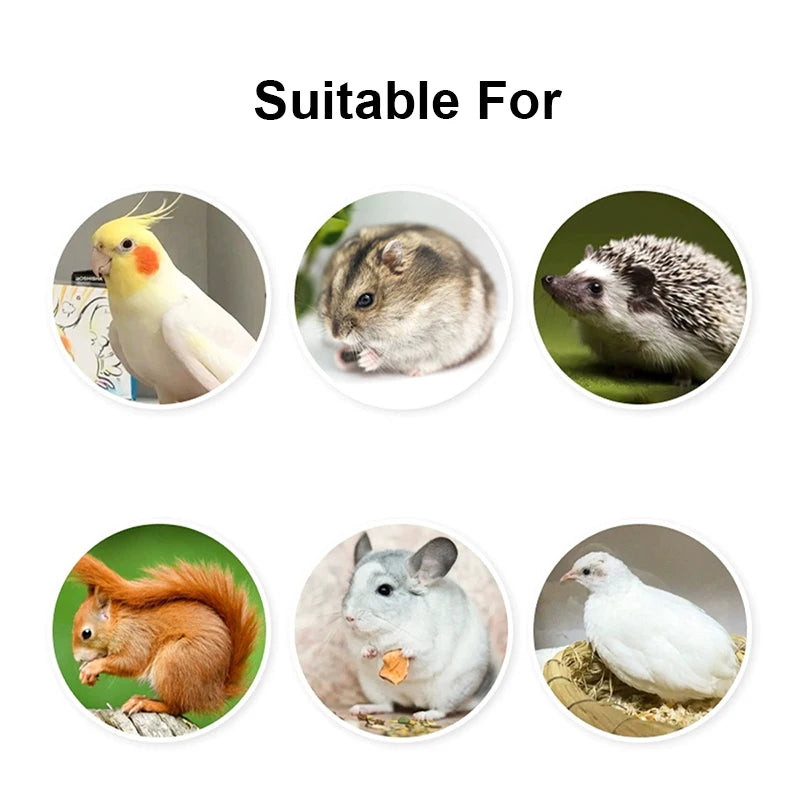 Transparent Bird Cage Feeder