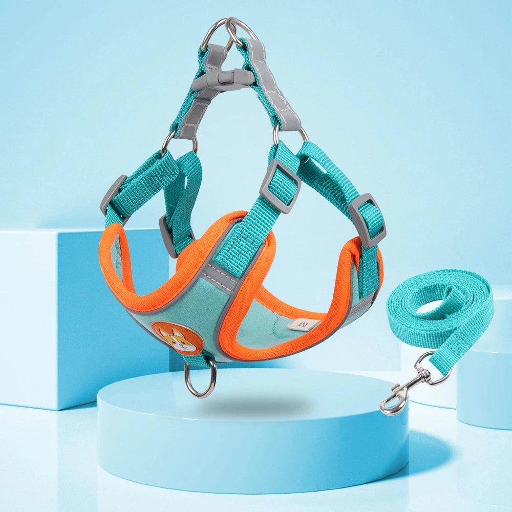 Reflective Step In Harness