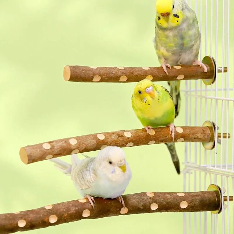 Natural Wood Bird Perch
