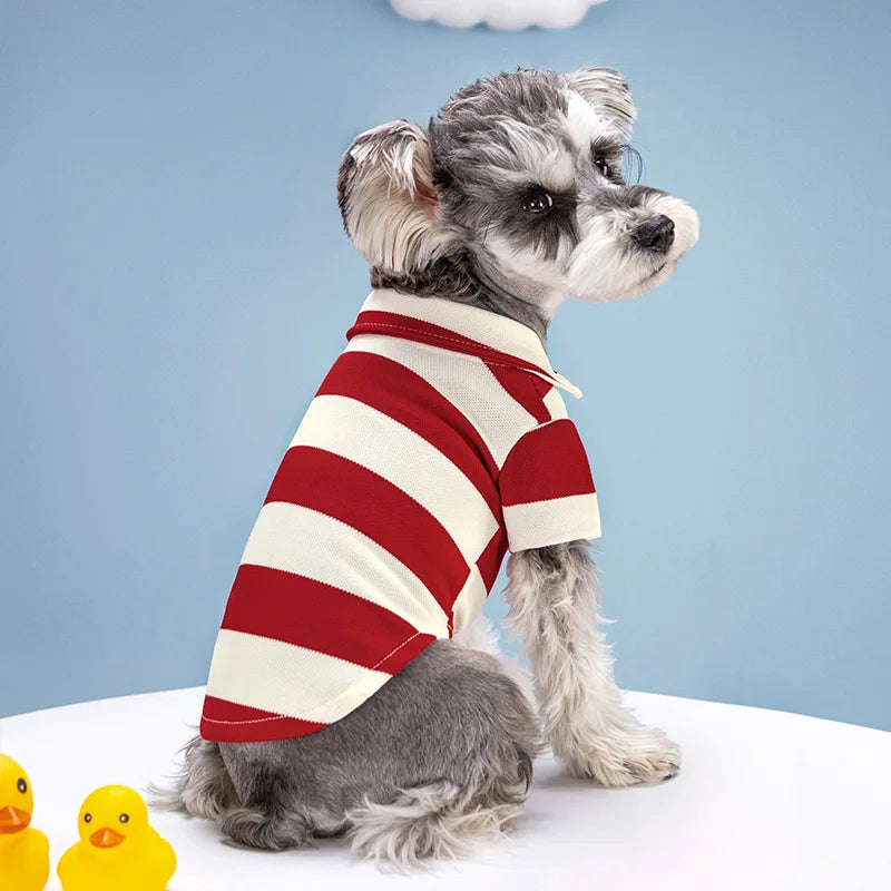 Striped Summer Dog Polo
