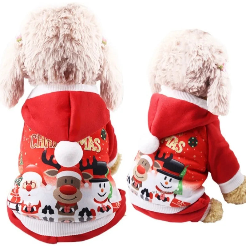 Santa Holiday Pet Costume