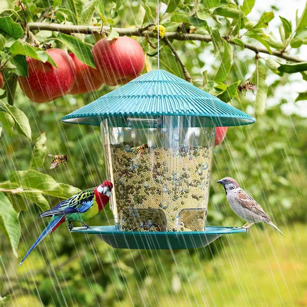 Hanging Peanut Bird Feeder