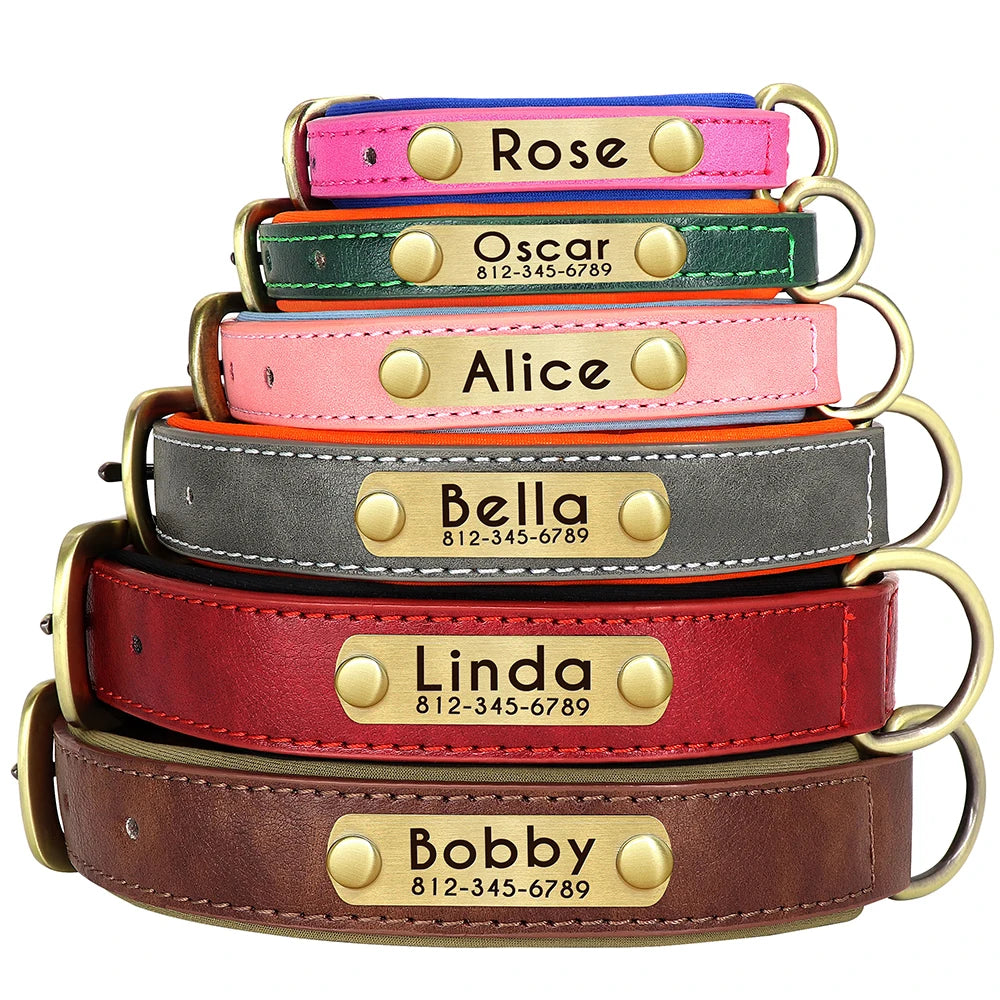 Personalized Padded Leather Dog Collar
