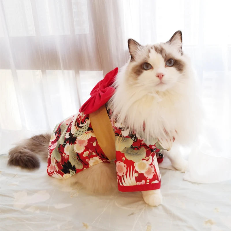 Japanese Bow Kimono Coat