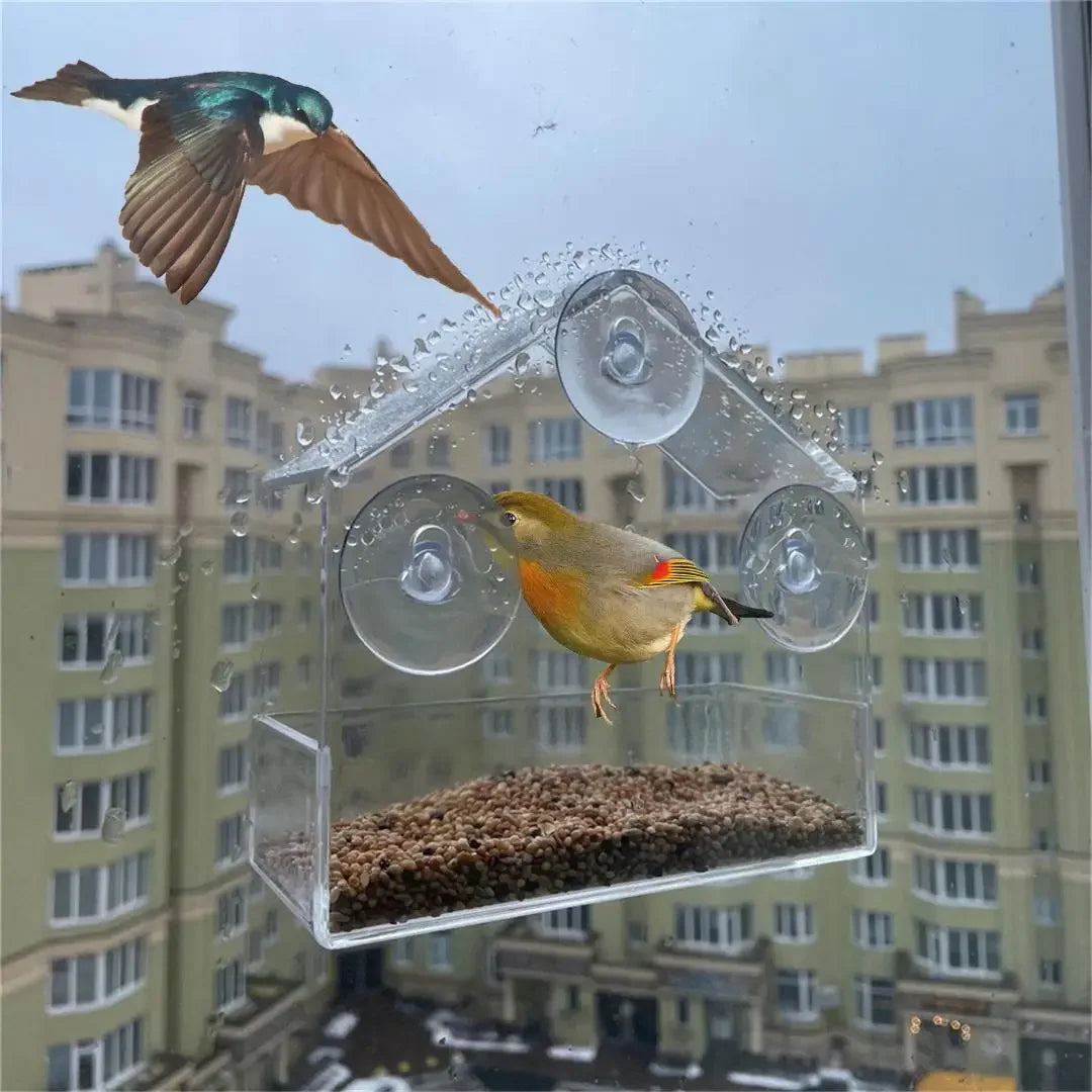 Clear Window Bird Feeder