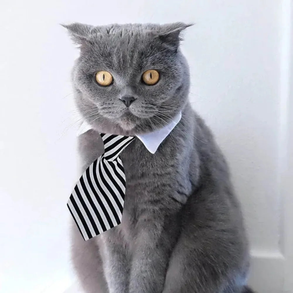 Adjustable Pet Bow Tie