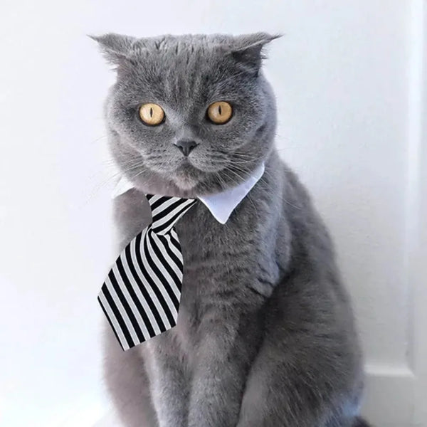 Adjustable Pet Bow Tie