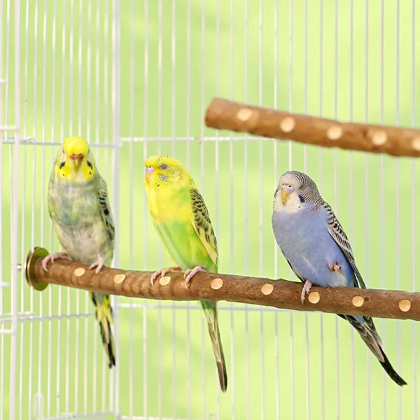 Natural Wood Bird Perch